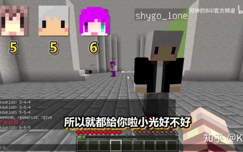阿神的服务器命名之谜，究竟被称为什么？