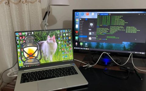 光德村服务器的更新时间是何时？