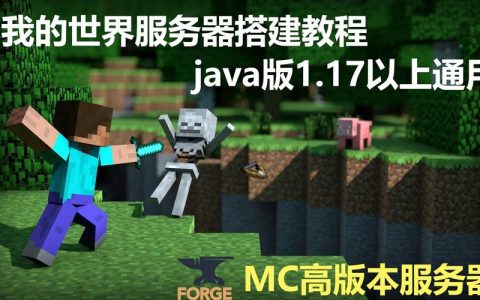 如何查找我的世界永开服务器的号码？