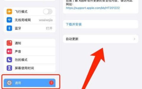 如何为iPad找到合适的系统更新服务？