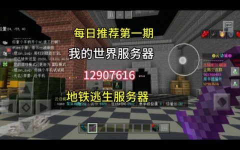 奔奔地铁逃生游戏究竟选择了哪种服务器？