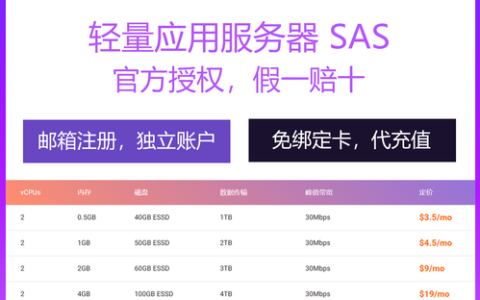 如何选择最适合我的国际阿里云服务器购买方案？
