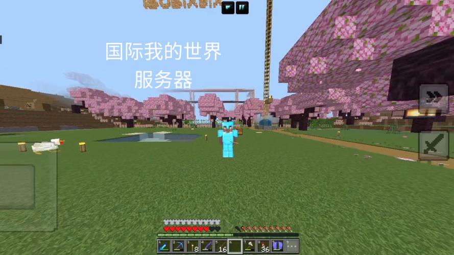mc国际版有什么好玩的服务器