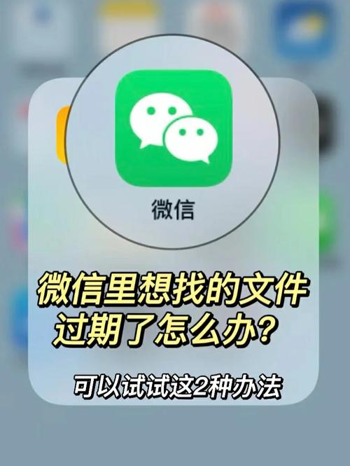 微信重装群文件在哪里