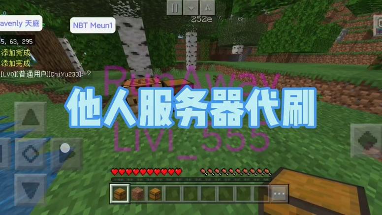 腾族代刷网用的什么服务器
