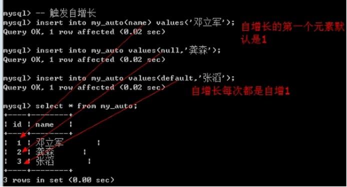 mysql数据库自增长_DDL