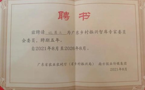 卓创云服务器的主要用途是什么？