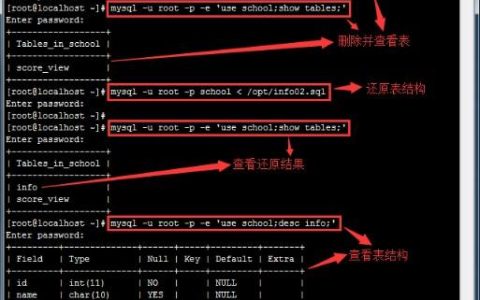 如何在MySQL中检查特定数据库或数据桶是否存在？