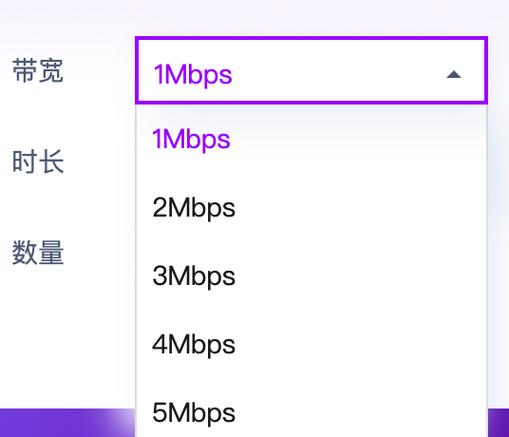 云服务器的带宽是什么意思呀