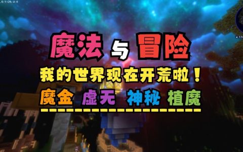 神秘服务器在游戏世界中扮演什么角色？