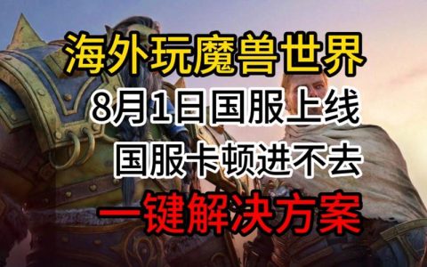 魔兽世界国服尚未开放时，玩家通常选择哪个服务器进行游戏？