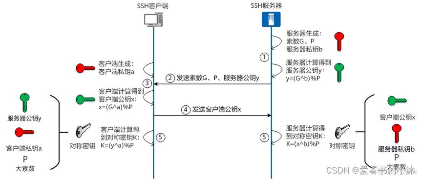 服务器端测试是什么意思呀