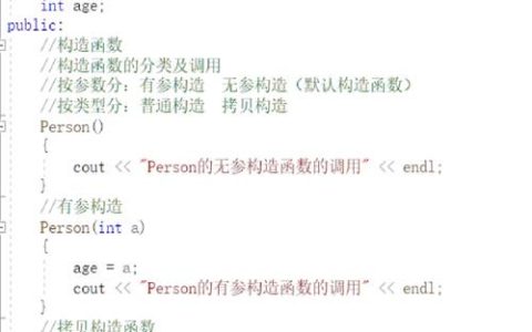 在C++ STL中使用模板镜像变换进行质量变换时，如何正确处理析构过程？