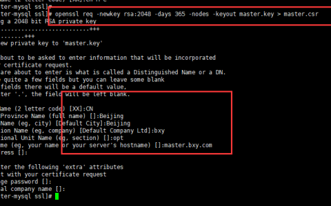 如何安全地查看MySQL数据库中的密文数据？