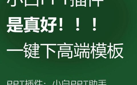 探索模板插件，如何提升工作效率与创造力？
