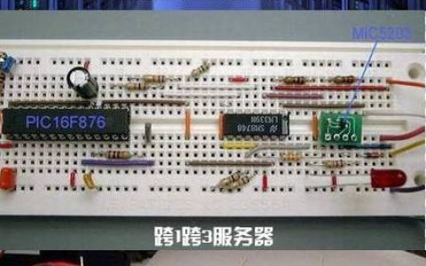 游戏服务器在数字娱乐中扮演什么角色？