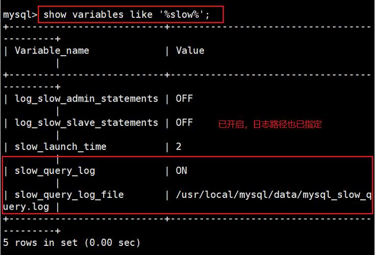 mysql数据库日期型怎么写_故障处理类