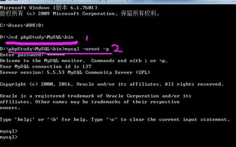 如何利用MySQL数据库中的SHOW命令来查看数据库信息？
