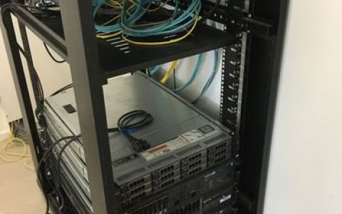 远端服务器在网络技术中扮演哪些关键角色？