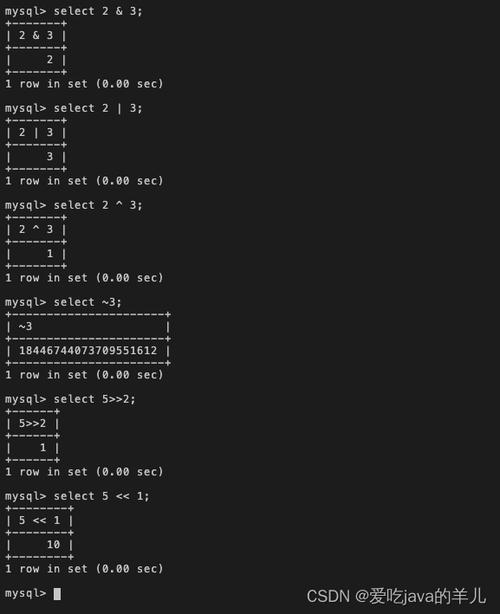 mysql字符串_字符串类型