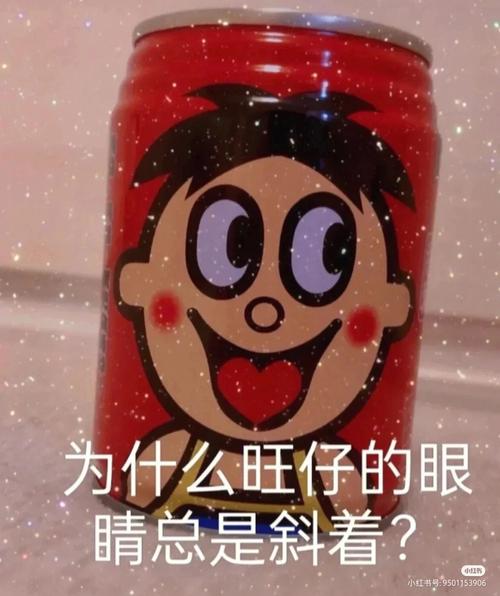 旺仔为什么登录不进去服务器