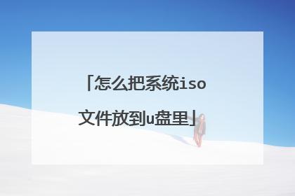 iso文件放到启动盘哪里