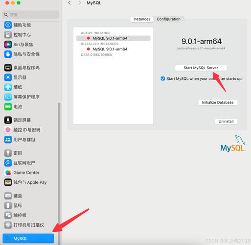mac命令行安装mysql数据库_安装MySQL