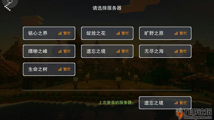 为什么奶块只有一个服务器
