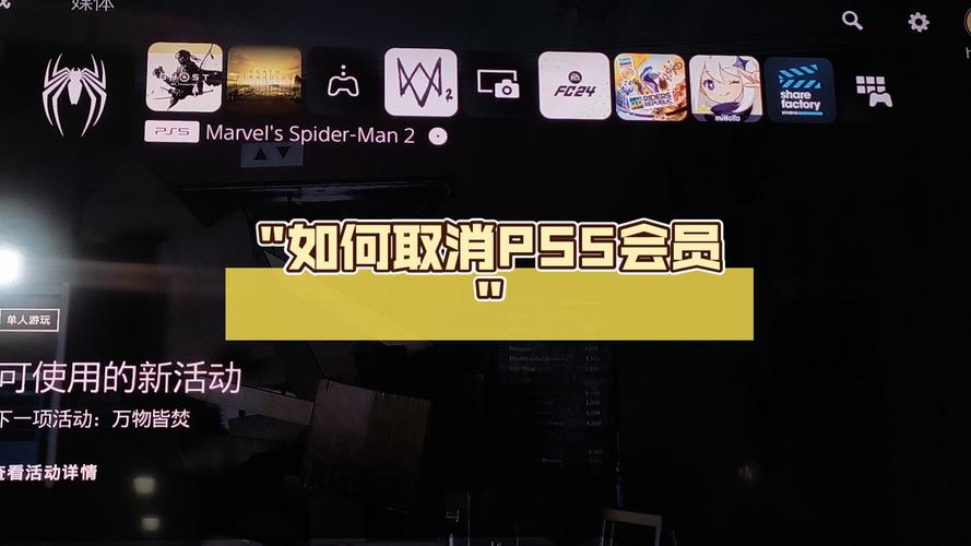 ps5上的会员服务器是什么