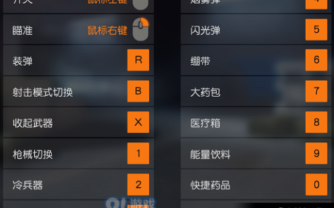 荒野行动PC版无法选择服务器的原因是什么？