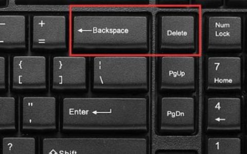 MSA和删除按钮的含义是什么？