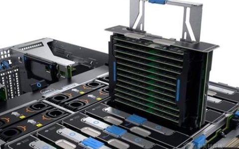 Roblox中以左轮手枪为赌注的服务器究竟叫什么名字？