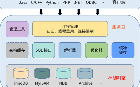 如何优化MySQL数据库链以提高性能？