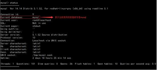 mysql 查看当前数据库名_查看当前告警