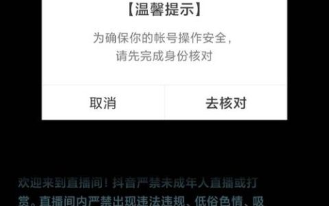 当充值抖音币时遇到服务器异常提示，该如何解决？
