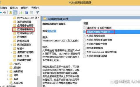 如何设置XP系统的兼容性选项？