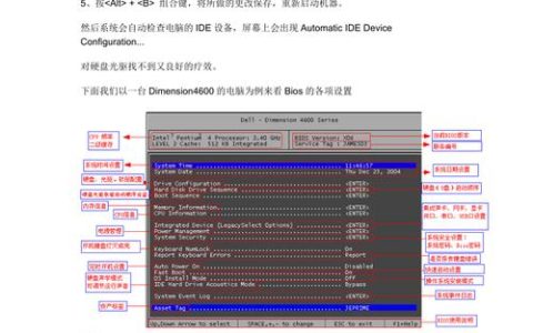 如何查找和修改戴尔电脑的出厂BIOS设置?
