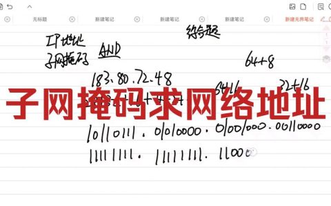 如何确定每个子网的网络地址并查看其备份文件的大小？