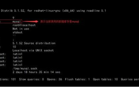 如何检查MySQL中当前的数据库和告警信息？