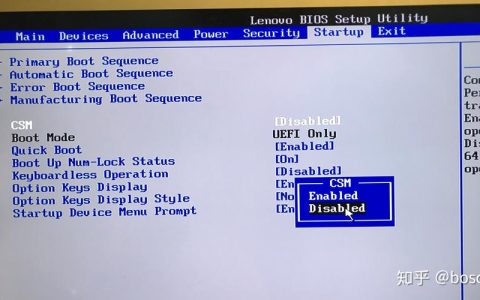 如何在BIOS中配置无线网卡?