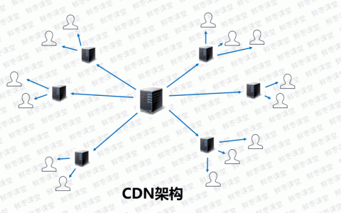 CDN与服务器，它们之间存在哪些关键区别？