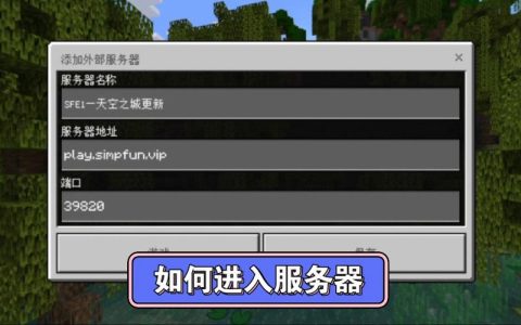 我的世界SMP服务器究竟代表什么？