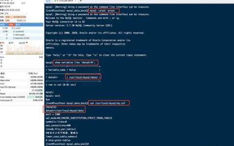 如何检查MySQL数据库备份的完整性和内容？