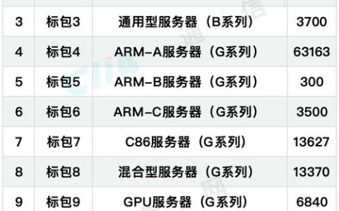 中国V9服务器预计何时投入使用？