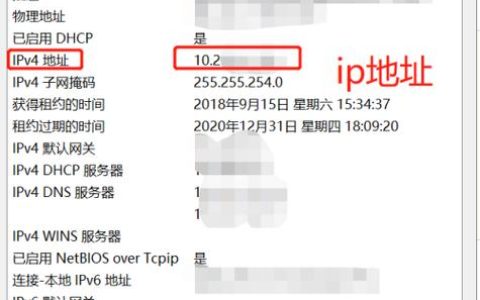 如何安全地查询IP服务器的登录密码？