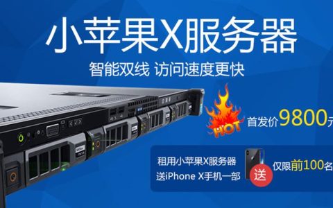 苹果X手机的服务器功能是什么？