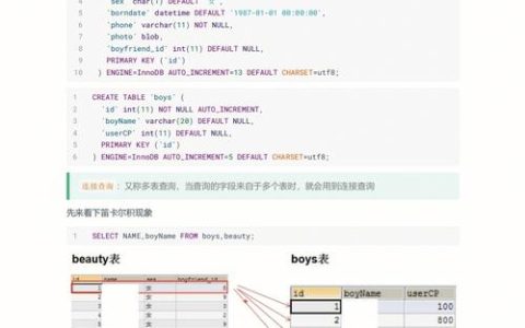 如何利用MySQL查询语句查看特定数据库表中的申请内容？