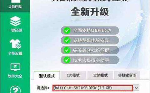如何安全地下载大白菜软件？