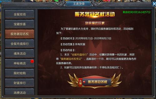 游戏服务器冠名是什么意思啊
