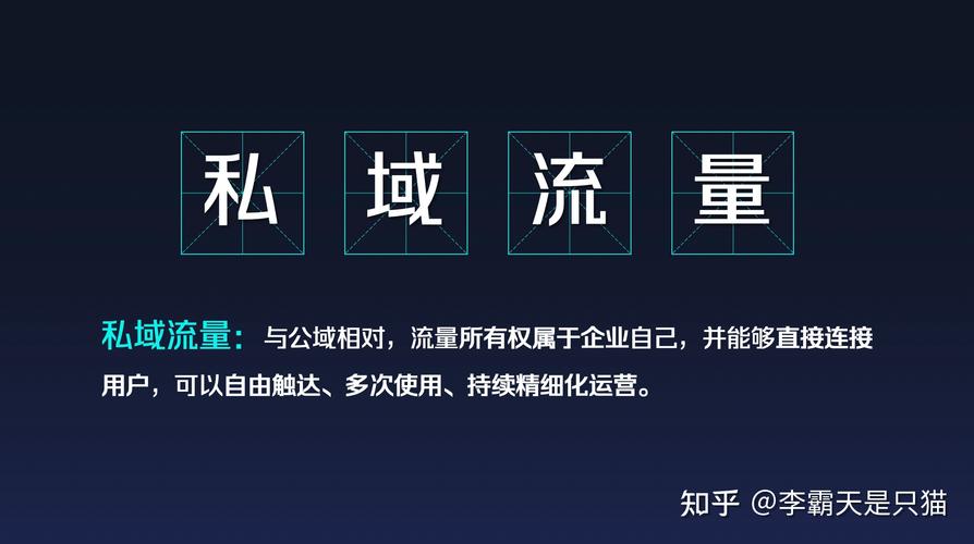 什么是私域1v1服务器